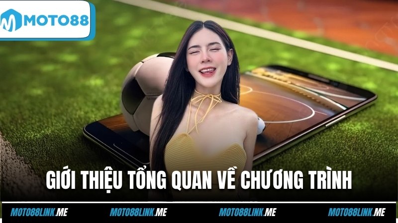 Giới thiệu tổng quan về chương trình